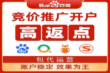 SEM托管服务成功案例背后的故事